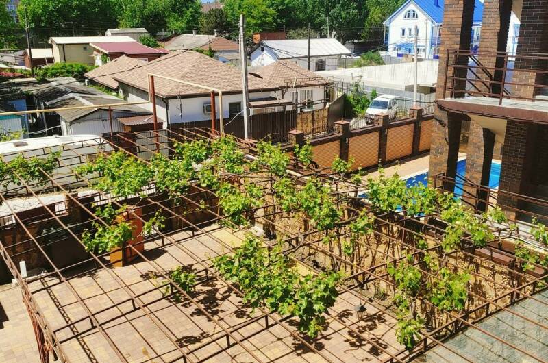 Изображение Изображение гостиницы &quot;Гостевой дом «Amar»&quot; #6 #4