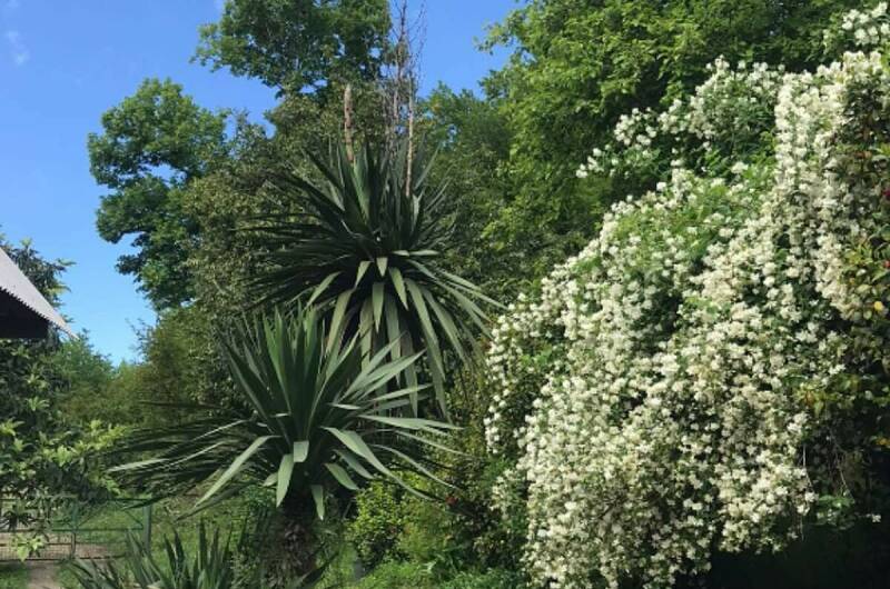 Изображение квартиры "Комната под ключ в Лидзаве" #1