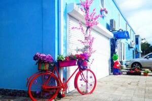 Изображение отеля / гостиницы "Гостевой дом «Вишнёвый сад»"