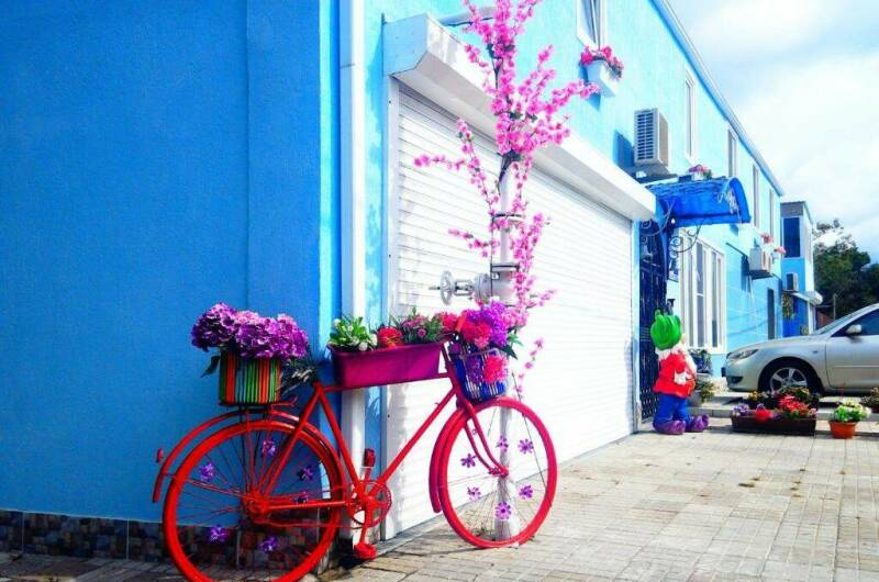 Изображение гостиницы "Гостевой дом «Вишнёвый сад»" #1