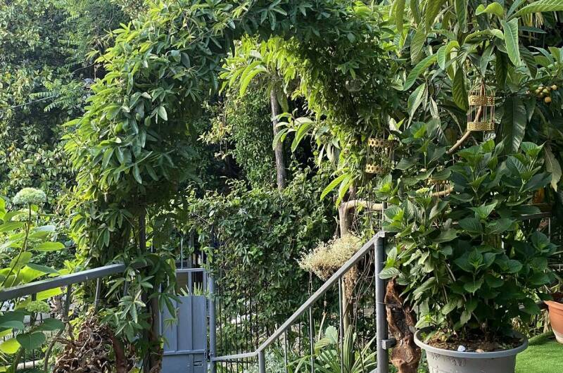 Изображение гостиницы "Гостевой дом «Апельсин»" #1