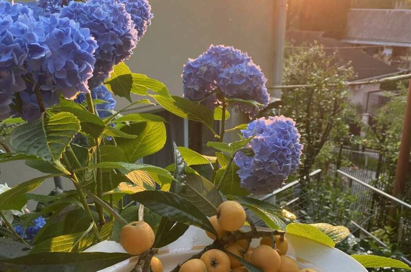 Изображение Изображение гостиницы &quot;Гостевой дом «Апельсин»&quot; #4 #2