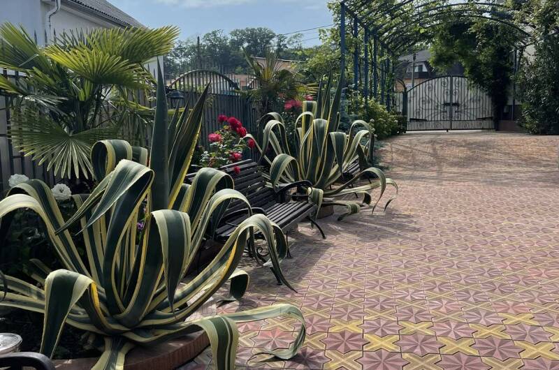 Изображение Изображение гостиницы &quot;Гостевой дом «Горная орхидея»&quot; #6 #4