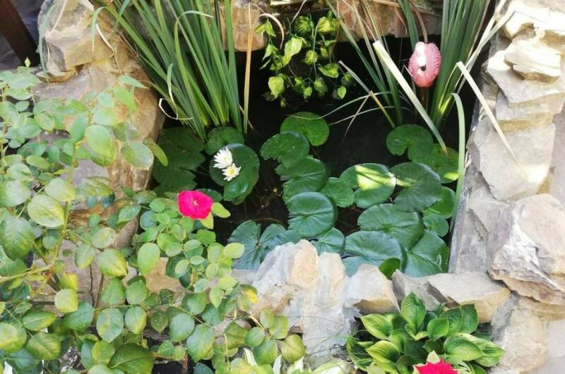 Изображение Изображение квартиры &quot;Дом по ключ на Сочинском шоссе&quot; #8 #6