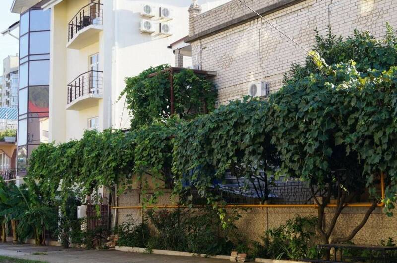 Изображение Изображение гостиницы &quot;Гостиница «Марина»&quot; #6 #4