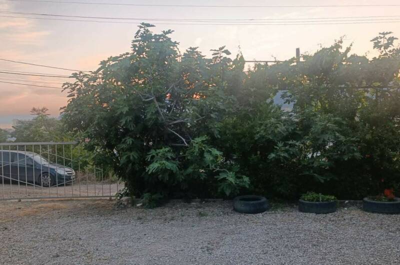 Изображение Изображение гостиницы &quot;Гостевой дом «Эмилия»&quot; #5 #3