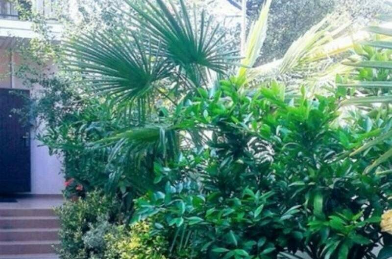 Изображение Изображение гостиницы &quot;Гостевой дом «Планета»&quot; #3 #1