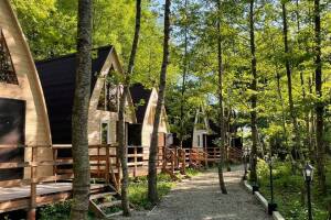 Изображение отеля / гостиницы "Клуб загородного отдыха «Дубрава»"