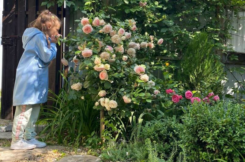 Изображение Изображение гостиницы &quot;Частный дом «Море-Лето»&quot; #10 #8