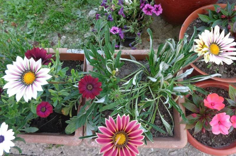 Изображение Изображение гостиницы &quot;Гостевой дом «Жемчужина у Моря»&quot; #7 #5