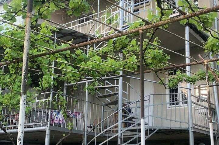 Изображение Изображение гостиницы &quot;Гостевой дом «МихеевХаус»&quot; #4 #2