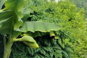 Изображение отеля / гостиницы "Частный сектор на Тихорецкой 2"