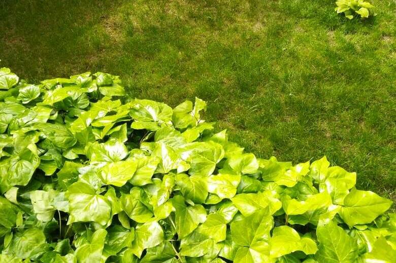 Изображение Изображение гостиницы &quot;Частный сектор на Звёздной&quot; #3 #1