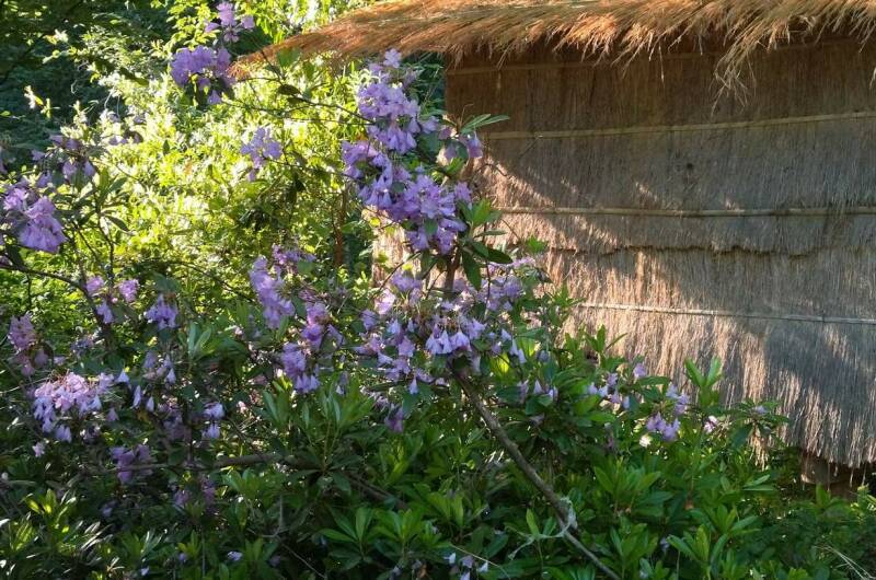 Изображение Изображение гостиницы &quot;Кемпинг «Шлыпра»&quot; #3 #1