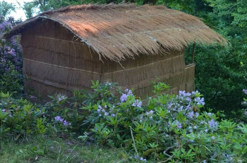 Изображение Изображение гостиницы &quot;Кемпинг «Шлыпра»&quot; #4 #2