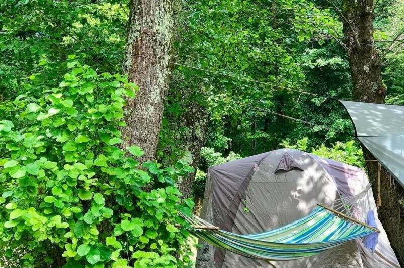 Изображение Изображение гостиницы &quot;Кемпинг «Шлыпра»&quot; #5 #3