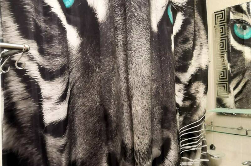 Изображение Изображение квартиры &quot;Однокомнатная квартира на Партизанской&quot; #10 #8