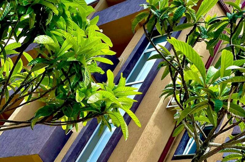 Изображение Изображение гостиницы &quot;Гостевой дом «Чародейка»&quot; #7 #5