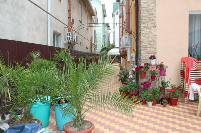 Изображение гостиницы "Гостевой дом «Ангелина»" #1