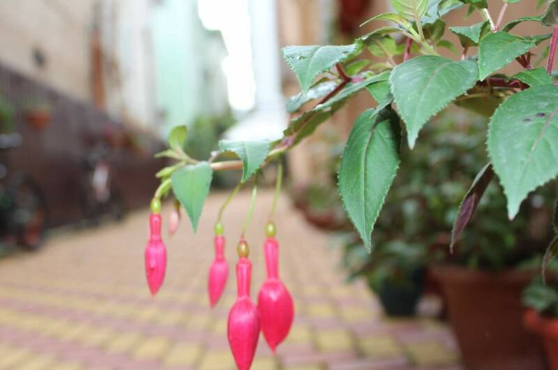 Изображение Изображение гостиницы &quot;Гостевой дом «Ангелина»&quot; #3 #1