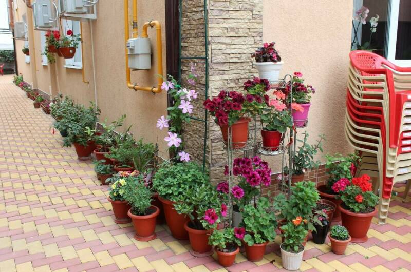 Изображение Изображение гостиницы &quot;Гостевой дом «Ангелина»&quot; #9 #7