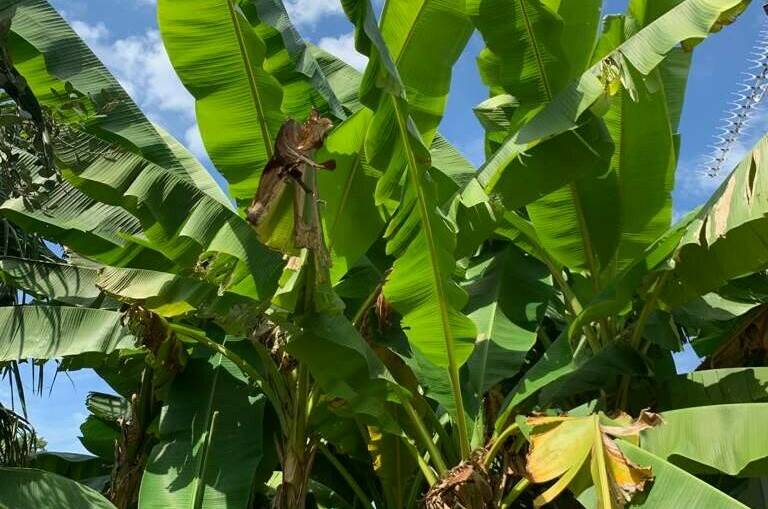 Изображение Изображение гостиницы &quot;Гостевой дом «Морской Эдем»&quot; #10 #8