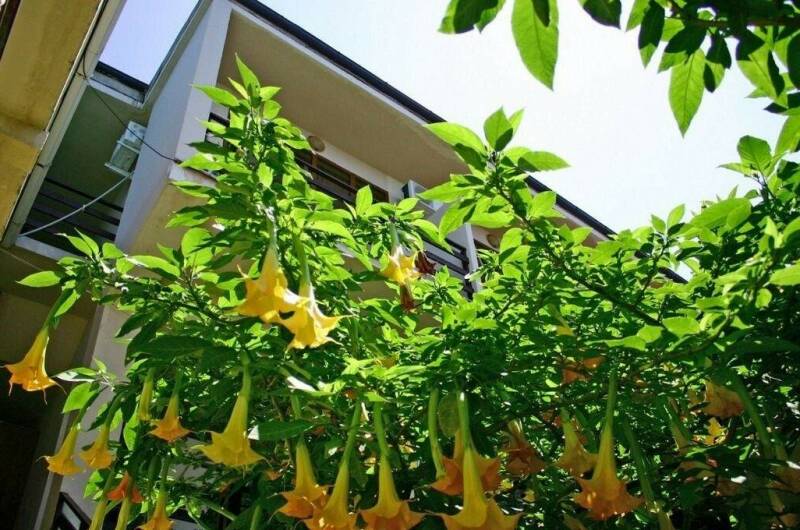 Изображение Изображение гостиницы &quot;Гостевой дом «Лазурный»&quot; #5 #3