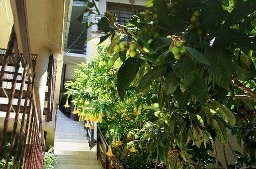 Изображение Изображение гостиницы &quot;Гостевой дом «Лазурный»&quot; #6 #4