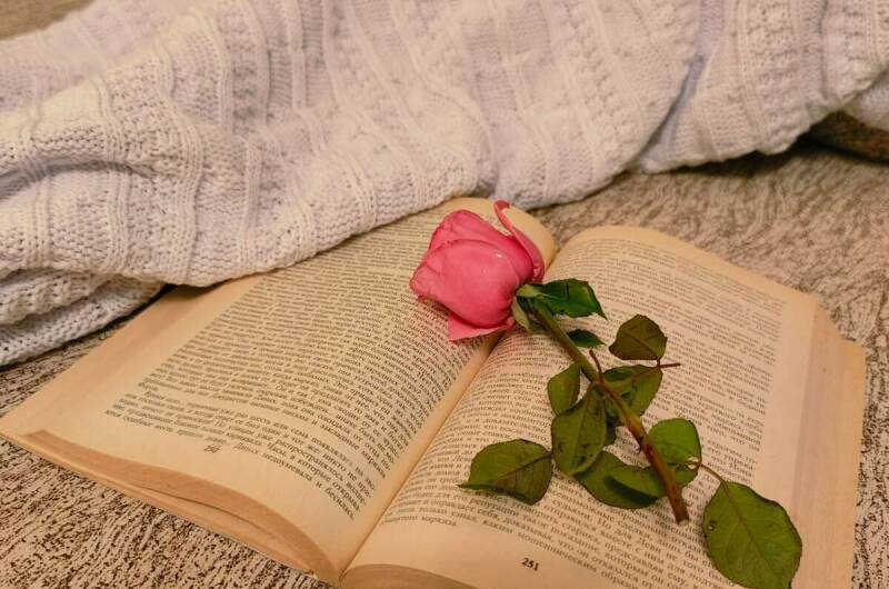 Изображение Изображение гостиницы &quot;Гостевой дом «Наутилус»&quot; #4 #2