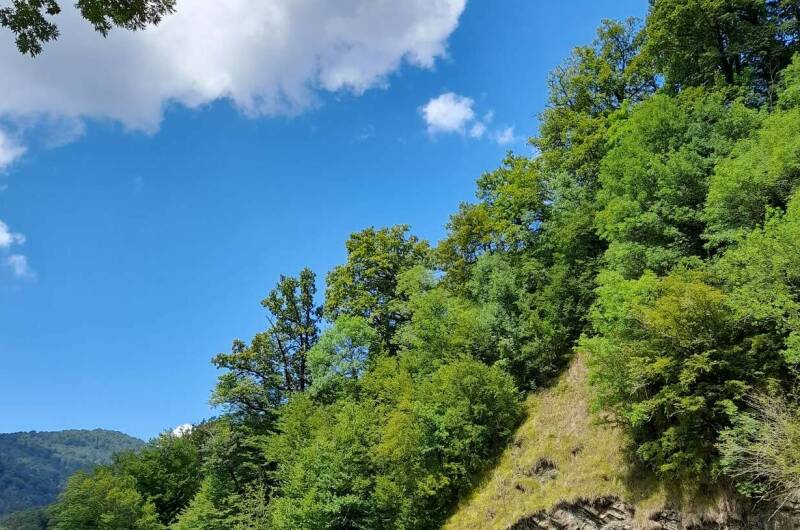 Изображение Изображение квартиры &quot;Чудесный домик под ключ&quot; #6 #4