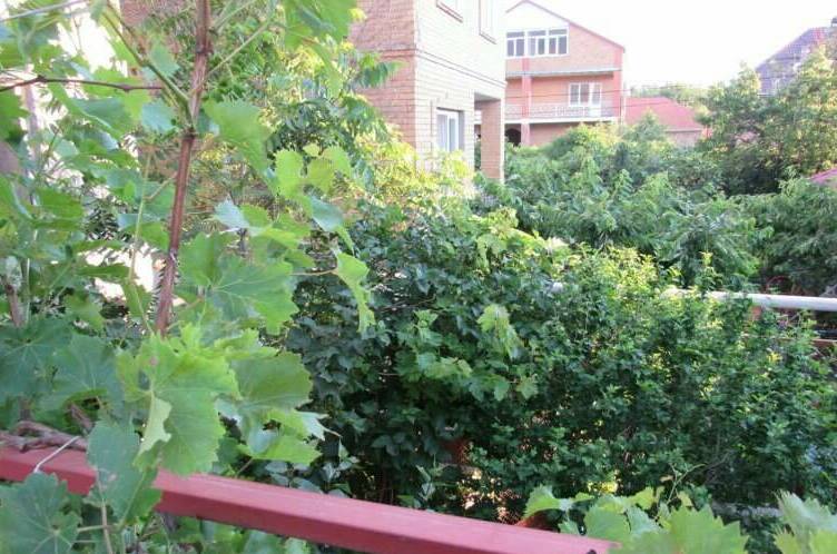 Изображение Изображение гостиницы &quot;Гостевой дом на Октябрьской&quot; #4 #2