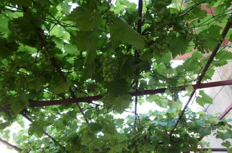 Изображение Изображение гостиницы &quot;Гостевой дом на Октябрьской&quot; #5 #3