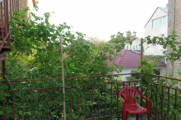 Изображение Изображение гостиницы &quot;Гостевой дом на Октябрьской&quot; #10 #8