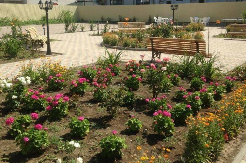 Изображение Изображение гостиницы &quot;Отель «Золотой берег»&quot; #3 #1