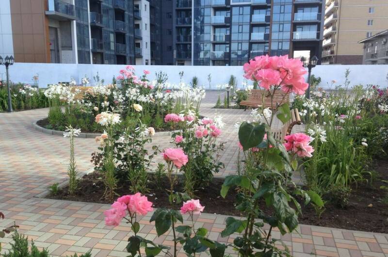 Изображение Изображение гостиницы &quot;Отель «Золотой берег»&quot; #7 #5