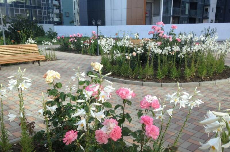 Изображение Изображение гостиницы &quot;Отель «Золотой берег»&quot; #8 #6