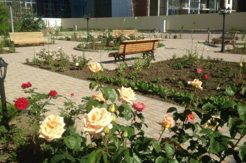 Изображение Изображение гостиницы &quot;Отель «Золотой берег»&quot; #9 #7