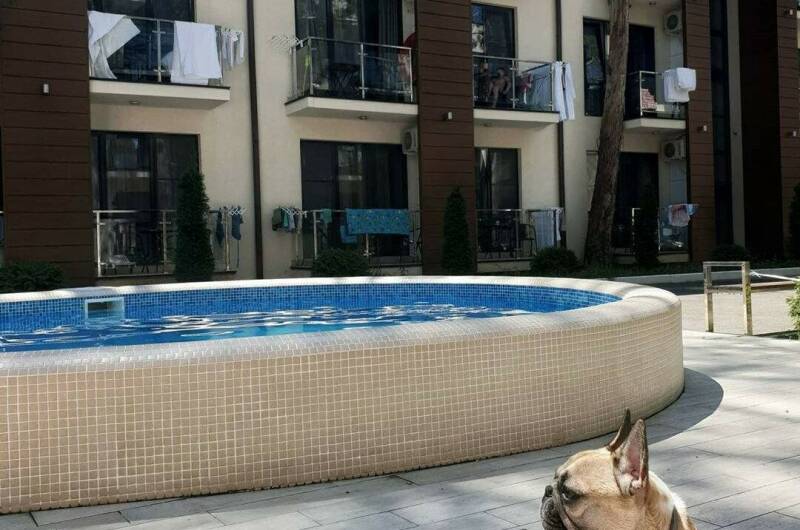 Изображение Изображение квартиры &quot;Апартаменты в ЖК «Мадрид Парк 2»&quot; #9 #7