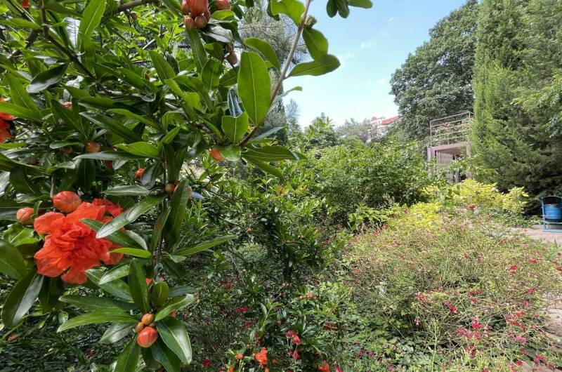 Изображение Изображение квартиры &quot;Коттедж под ключ с питанием на 8 человек&quot; #4 #2