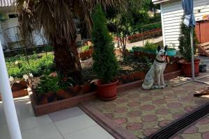 Гостевой дом «ЛайМ»