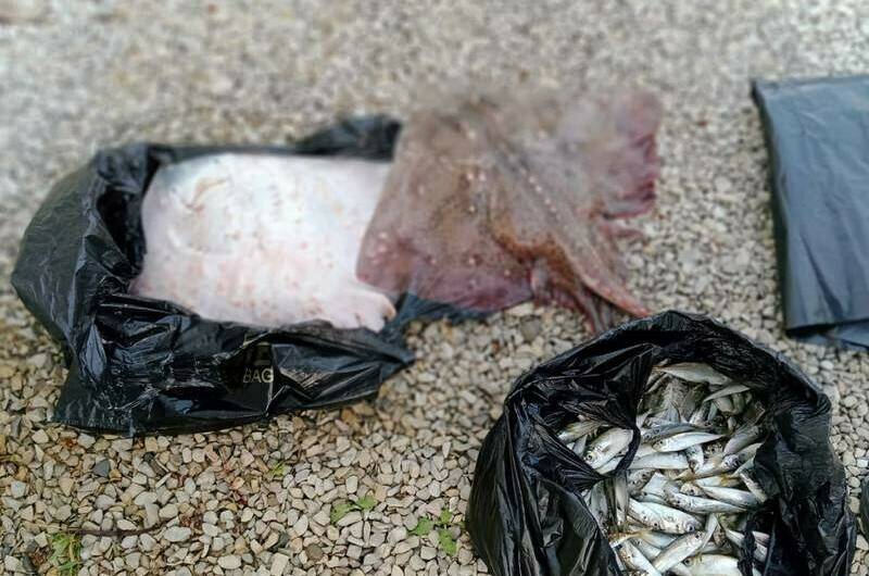 Изображение Изображение гостиницы &quot;Гостевой дом «Лилия»&quot; #5 #3