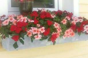 Изображение Изображение гостиницы &quot;Гостевой дом «Лилия»&quot; #10 #8