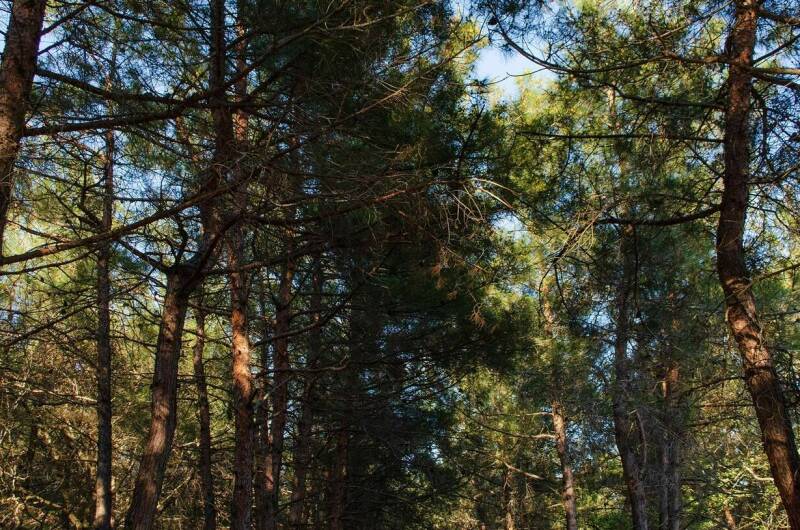 Изображение Изображение гостиницы &quot;Гостевой дом «Надежда у моря»&quot; #5 #3