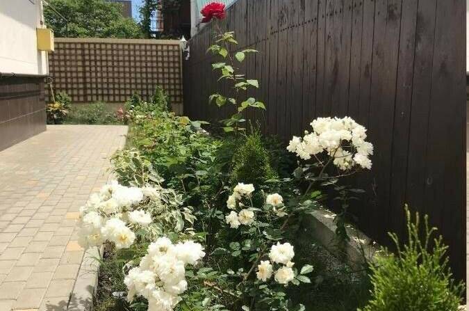 Изображение Изображение гостиницы &quot;Гостевой дом «Палладион»&quot; #9 #7