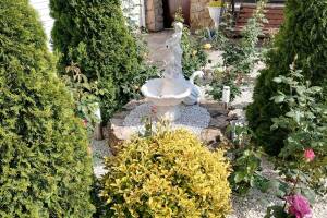 Изображение отеля / гостиницы "Гостевой дом «Виола»"