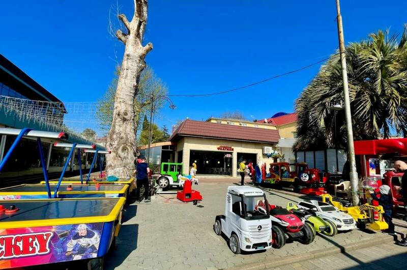 Изображение Изображение гостиницы &quot;Вилла «Мандарин»&quot; #10 #8