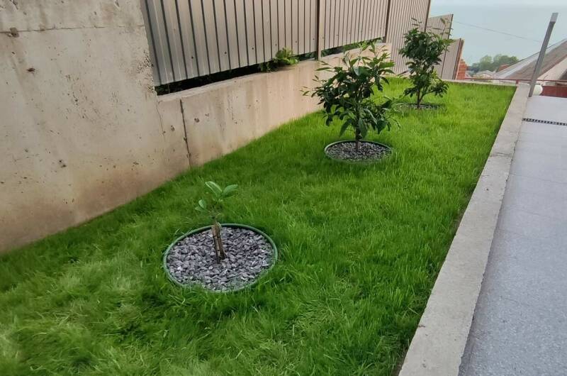 Изображение Изображение гостиницы &quot;Гостевой дом «Grey house»&quot; #10 #8