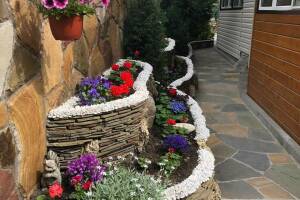 Изображение отеля / гостиницы "Гостевой дом «Ольга»"