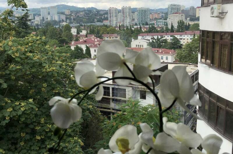 Изображение Изображение квартиры &quot;Апартаменты «Vinograd»&quot; #10 #8