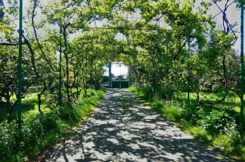 Изображение Изображение гостиницы &quot;Гостевой дом «Одиссей»&quot; #7 #5